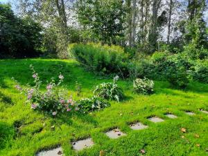 ogród z kwiatami i roślinami w trawie w obiekcie La yourte au fonds du jardin w mieście Xhoris