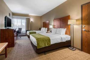 Comfort Inn & Suites Sacramento - University Area में एक कमरे में एक या कई बेड