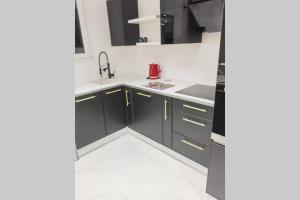 a kitchen with black cabinets and a sink at Nid d'amour baignoire/jacuzzi in Nice