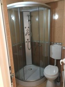 La salle de bains est pourvue d'une cabine de douche et de toilettes. dans l'établissement Cazare Hofmann, à Arad