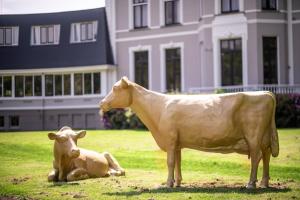 Animales en el hotel o alrededores