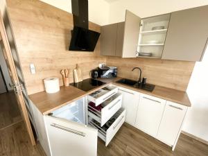 Kuchyň nebo kuchyňský kout v ubytování apartmán Dream Residence