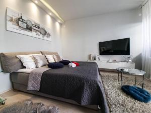 a bedroom with a large bed and a tv at Apartment Apex penthouse self check-in in Karlovac