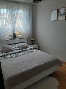 um quarto com uma cama e uma janela com cortinas em Apartament Masuria em Ełk