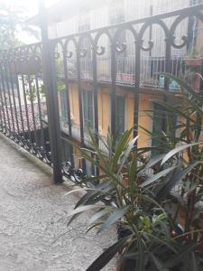 uma cerca com uma planta em frente a um edifício em Romeo and Juliet Apartaments em Bérgamo