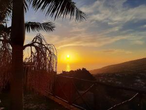 een zonsondergang boven de oceaan met een palmboom bij Casa dos Avos in Calheta