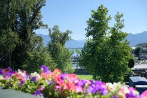 a group of flowers in a park with mountains in the background at Hotel Garni Möwe am See in Prien am Chiemsee