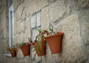 vier potplanten hangen aan een muur bij Casa Moiano in Oliveira do Hospital