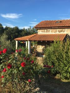 une maison avec des roses rouges devant elle dans l'établissement Quinta do Cobral, à Oliveira do Hospital