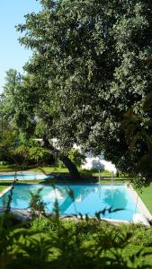 a large blue swimming pool with a tree above it at Alentejo Star Hotel - Sao Domingos - Mertola - Duna Parque Resorts & Hotels in Mina de São Domingos