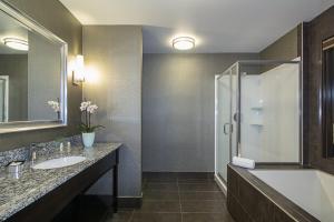 ein Bad mit einer Badewanne, einem Waschbecken und einer Dusche in der Unterkunft Holiday Inn Hotel & Suites Silicon Valley – Milpitas, an IHG Hotel in Milpitas