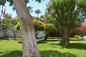 A garden outside Apartamentos Don Quijote