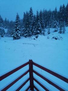 uma cerca num campo coberto de neve com árvores em Brvnara Orfej em Gornje Pale