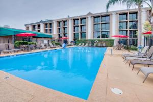 Swimmingpoolen hos eller tæt på Ramada by Wyndham Metairie New Orleans Airport