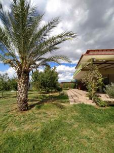 una palmera en un patio junto a una casa en Ktima Anastasia, en Nauplia