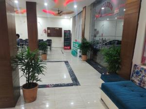 钱德加尔Hotel kb Square Near Chandigarh Railway Station的楼里种植盆栽的大堂