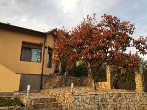 ein Baum vor einem Haus mit einer Steinmauer in der Unterkunft Sunshine villa Dzhigurovo in Sandanski