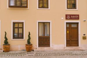 a building with two doors and two potted plants at SAVOY residence in Osijek