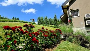 un giardino con fiori rossi accanto a una casa di Apartmani Sanja a Krapinske Toplice