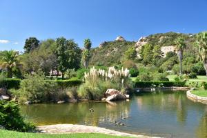 un estanque en un parque con patos en el agua en Bagaglino I Giardini Di Porto Cervo, en Porto Cervo