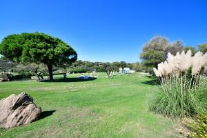 un parque con un árbol y una roca en el césped en Bagaglino I Giardini Di Porto Cervo, en Porto Cervo