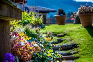 Jardí fora de Gästehaus Schönberg