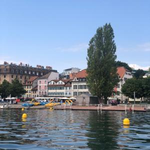 einem Wasserkörper mit gelben Bällen vor Gebäuden in der Unterkunft Hôtel du Port in Lausanne