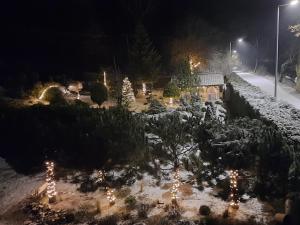 un jardín decorado con luces de Navidad por la noche en Apartamenty Sielanka, en Olecko