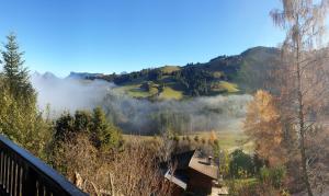 Peisaj natural din apropierea acestui chalet