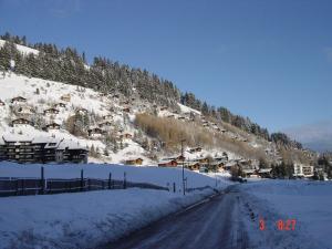 Charming chalet with panoramic view and private parking in Gruyère iarna