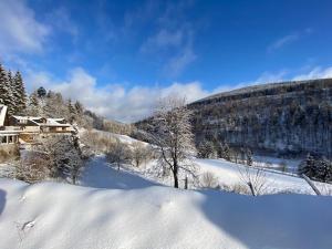 Landhotel Baumwipfel durante el invierno