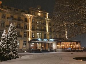 een gebouw met een kerstboom ervoor bij Parkhotel du Sauvage in Meiringen