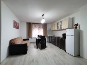 cocina y sala de estar con sofá y nevera en Mario Apartament regim hotelier, en Reşiţa