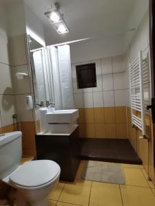 y baño con aseo y lavamanos. en Mario Apartament regim hotelier, en Reşiţa