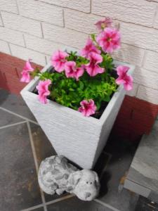 um vaso de plantas com flores cor-de-rosa e um bicho de peluche em Molly Morgan Motor Inn em Maitland