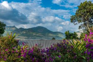 Blick auf die Berge von einem Garten mit lila Blumen in der Unterkunft Elakai in Munnar