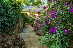 einen Weg durch einen Garten mit lila Blumen in der Unterkunft Elakai in Munnar