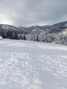 ein schneebedecktes Feld mit Bäumen und Bergen im Hintergrund in der Unterkunft Cottage Лісовий in Bukovets