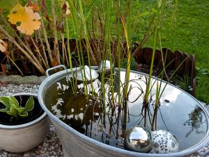 A garden outside Stachl-Hof - Chiemgau Karte