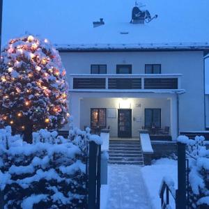 ein Weihnachtsbaum vor einem Gebäude mit Schnee in der Unterkunft Vila Mala Marta in Tatranská Lomnica