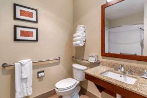 Comfort Suites Fort Collins Near University衛浴