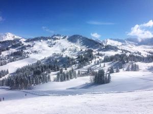 een met sneeuw bedekte berg met bomen op een skipiste bij Chalet Bluebell in Les Gets