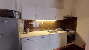 Apartment Moser 1303 주방 또는 간이 주방