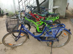 Cycling sa o sa paligid ng Sea Breeze Beach Home