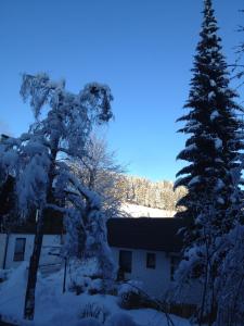 Kur- und Ferienhotel Haser durante el invierno