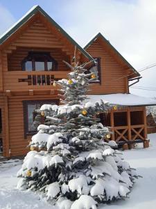 a christmas tree covered in snow in front of a cabin at Вілла Олекси in Skhidnitsa