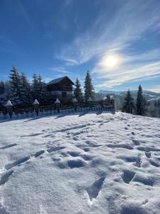 Panorama Karpat žiemą