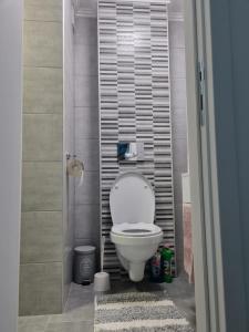 uma casa de banho com um WC branco numa cabina em 306 APARTMAN em Subotica