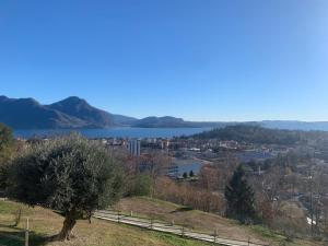 a tree on a hill with a view of a lake at Sole in Verbania