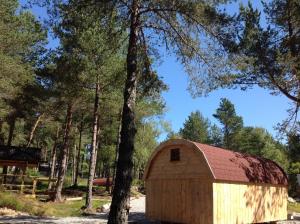 une grange avec un toit rouge à côté d'un arbre dans l'établissement Camping Pod Heaven, à Brackla